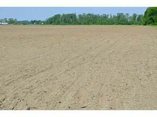 Property photo 44 - LAND AUCTION - 215+/- ACRES OFFERED IN 6 TRACTS IN VAN WERT COUNTY, OHIO